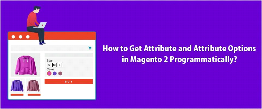 How to Get Attribute & Attribute Options in Magento 2 Programmatically?