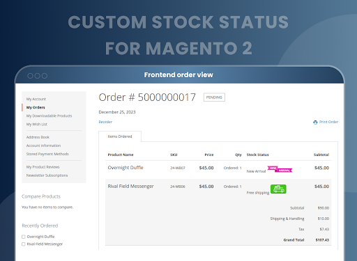 How to Display Custom Product Stock Status in Magento 2?