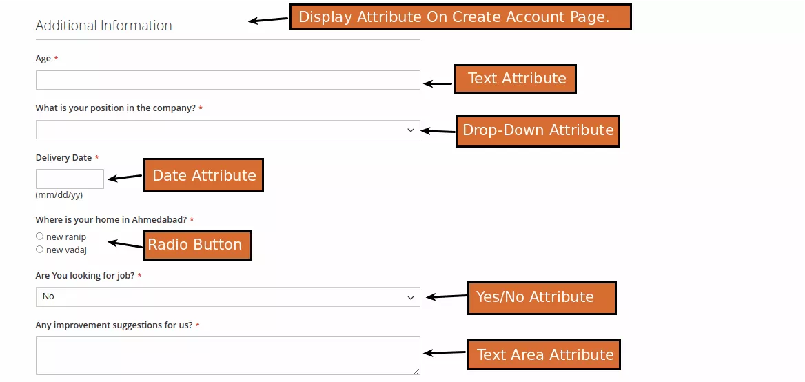 Support Different Input Types Customer Information