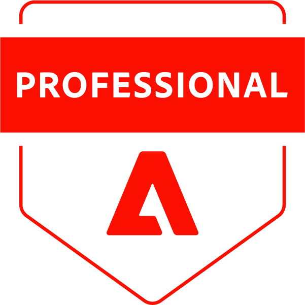 hire developer