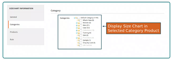 Size Chart Magento 2
