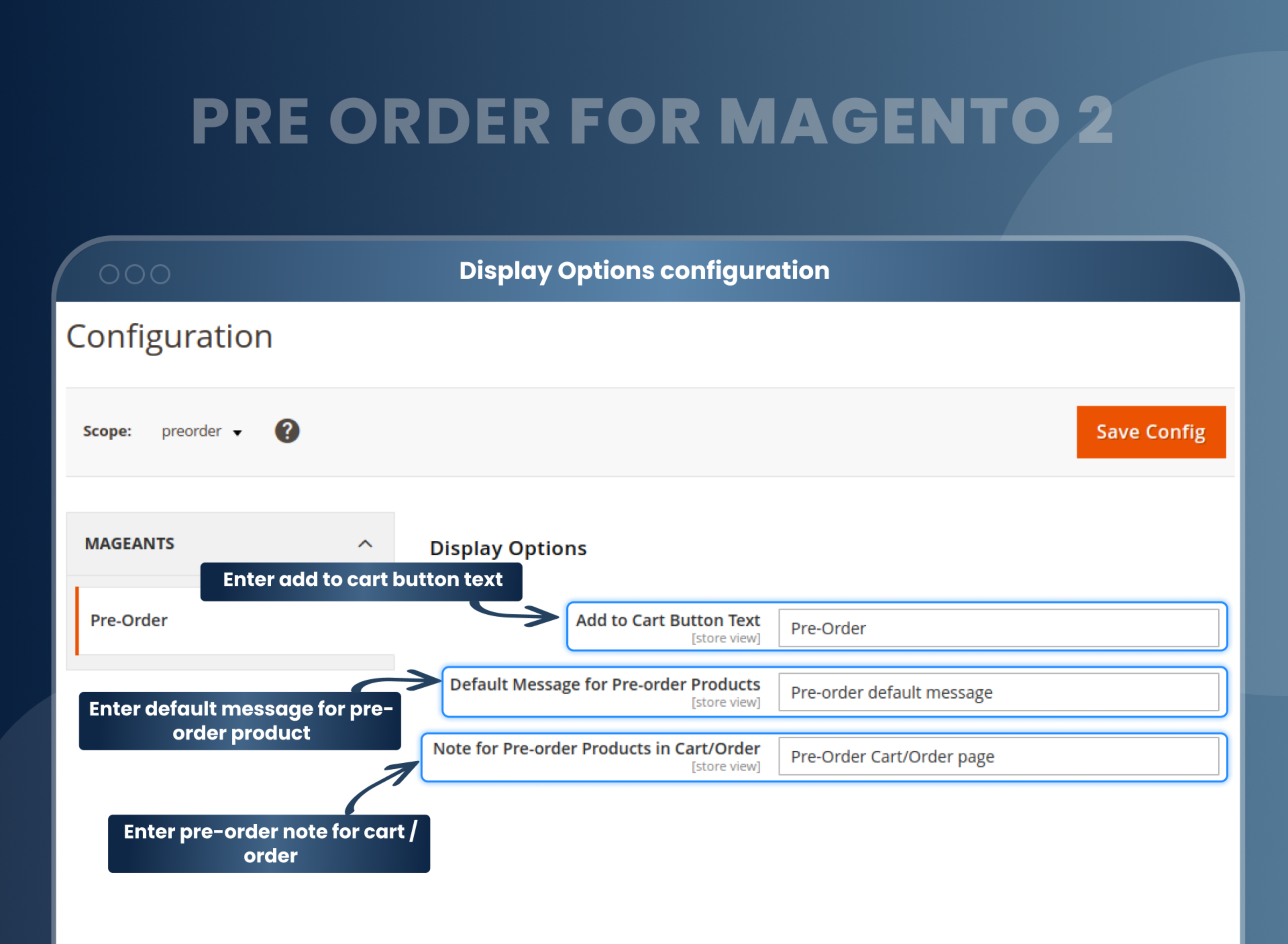  Display Options configuration